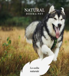 Natural Derma Pet