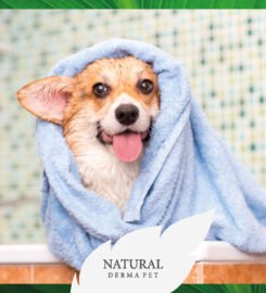 Natural Derma Pet