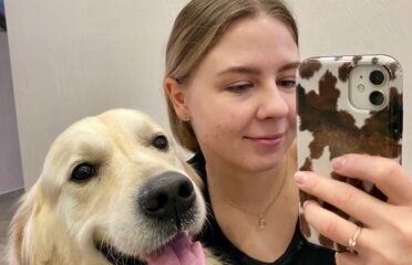 Augintinių priežiūra namuose