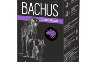 Papildas katėms nervų sistemai Bachus 60 tab