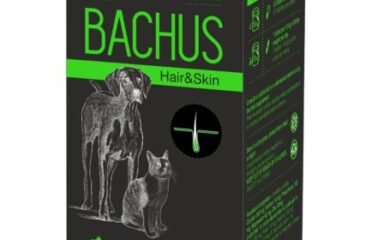 Papildai katėms odai ir kailiui Bachus 60 tab