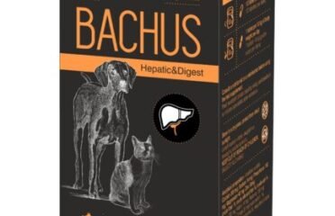 Papildai augintiniams kepenų veiklai ir virškinimui  Bachus Hepatic&Digest 60 tab