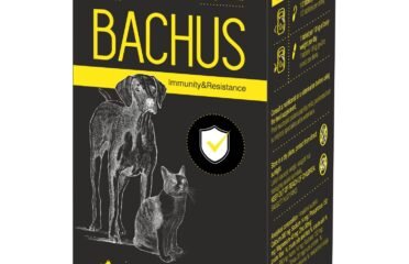 Papildai augintiniams imuninei sistemai Bachus Immunity&Resistance 60 tab
