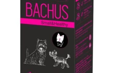 Papildai mažų veislių šunims Bachus Small&Healthy 60 tab