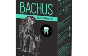 Papildas katėms burnos priežiūrai Bachus 60 tab