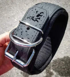 Dresūros šuns antkaklis su rankena