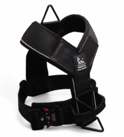 Didelės apkrovos šuns dresūros petnešos