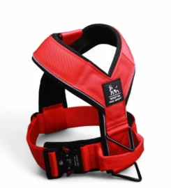 Didelės apkrovos šuns dresūros petnešos