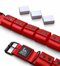 Šuns dresūros antkaklis su svarmenimis