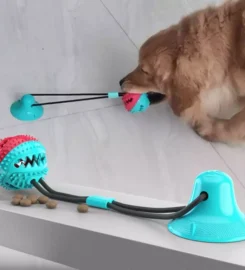 Prilimpantis tempimo kramtukas šunims