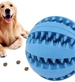 Skanėstų kamuoliukas šunims