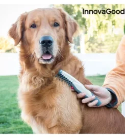 Elektrinės suvelto kailio šukos, žirklės šunims ir katėms