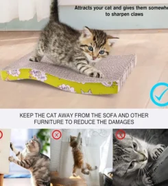 Kačių draskyklė su katžole