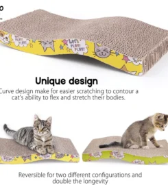 Kačių draskyklė su katžole