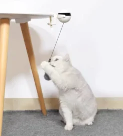 Automatinis žaislas katėms Yoyo