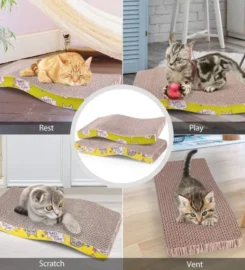 Kačių draskyklė su katžole