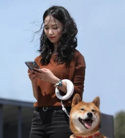 Ufo šviečiantis pavadėlis šunims