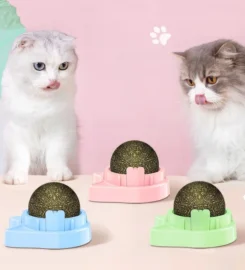 Laižomas katžolės rutuliukas