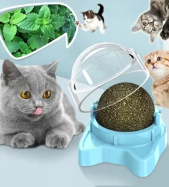 Laižomas katžolės rutuliukas