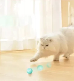 Išmanusis kamuoliukas katėms G1