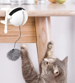 Automatinis žaislas katėms Yoyo