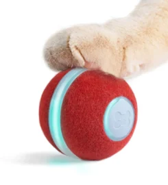 Išmanusis kamuoliukas katėms