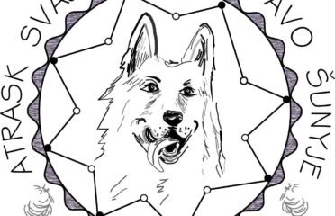 Online dresūros pamokos šunims