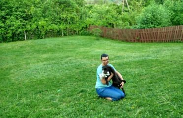 Konsultacijos šunų auklėjimo ir elgesio klausimais Kaune ir Jonavoje klientų namuose