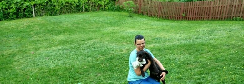 Konsultacijos šunų auklėjimo ir elgesio klausimais Kaune ir Jonavoje klientų namuose