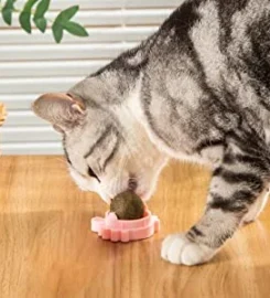 Laižomas katžolės rutuliukas