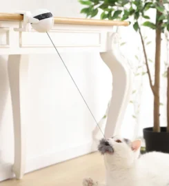 Automatinis žaislas katėms Yoyo