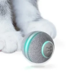 Išmanusis kamuoliukas katėms