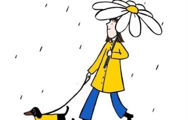 Šunų vedžiojimas Vilniuje ·