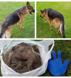 Masažuojanti šukavimo pirštinė katėms ir šunims