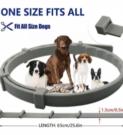 Eko apsauginis antkaklis šunims ir katėms