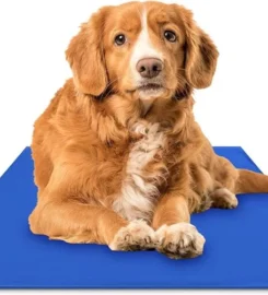 Komfortiškas šaldantis kilimėlis šunims ir katėms