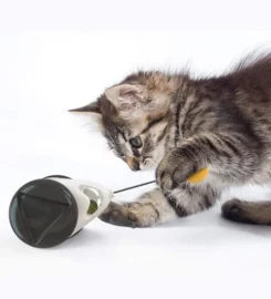 Interaktyvus balansinis žaislas katėms