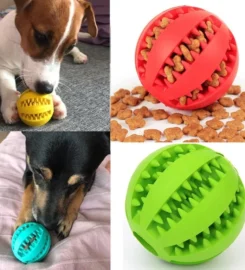 Skanėstų kamuoliukas šunims