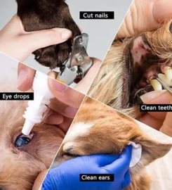 Hamakas augintiniui – patogus augintinio higienai