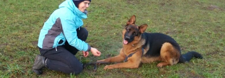 Šunų auklėjimas trenerio namuose