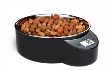 Indas augintiniui „EYENIMAL Intelligent Pet Bowl XL black”