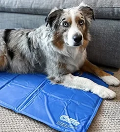 Komfortiškas šaldantis kilimėlis šunims ir katėms