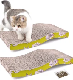 Kačių draskyklė su katžole