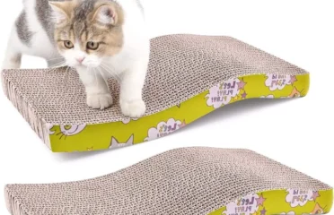 Kačių draskyklė su katžole