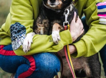 Kalytė ieško namų Linksmakalnyje – Levanda