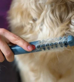 Elektrinės suvelto kailio šukos, žirklės šunims ir katėms