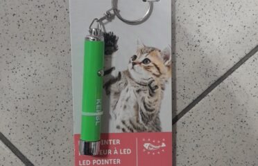 Kačiuko prožektoriai šviečia žuvis