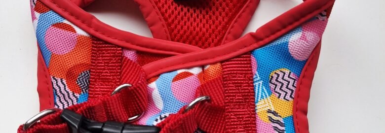 Misoko petnešos šuniukui