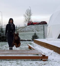 Šunų dresavimas Palangoje