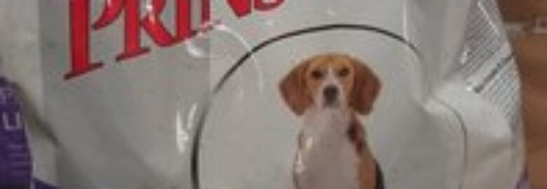 Šuns maistas ProCare Light Low Calorie Prins